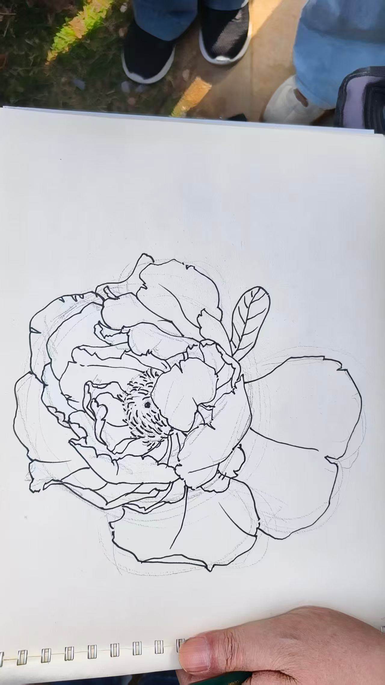 /attachment/Public/2026-05-09/69fe9d56e12ba.jpg